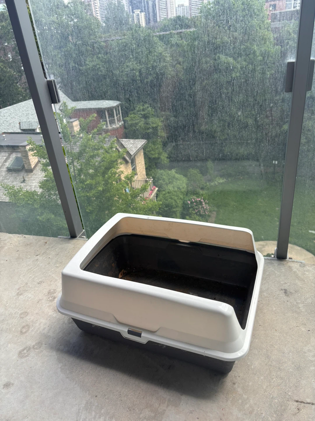 Grey and White Litter Box