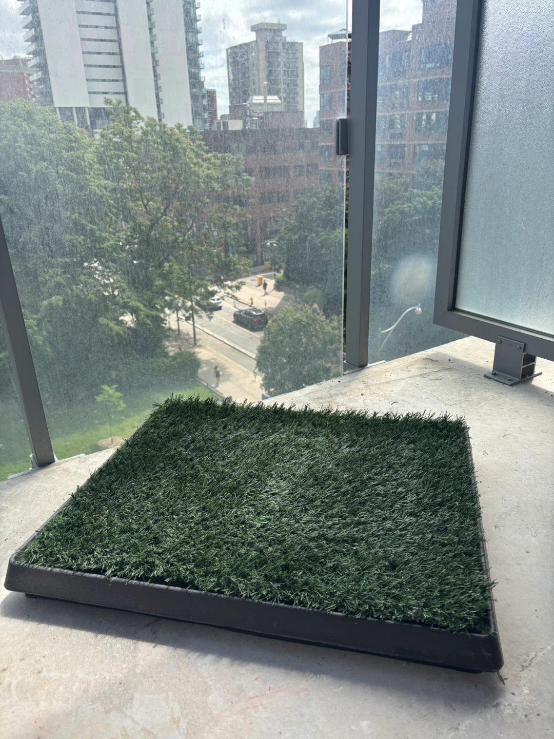Pet Potty Training Grass Mat Tray