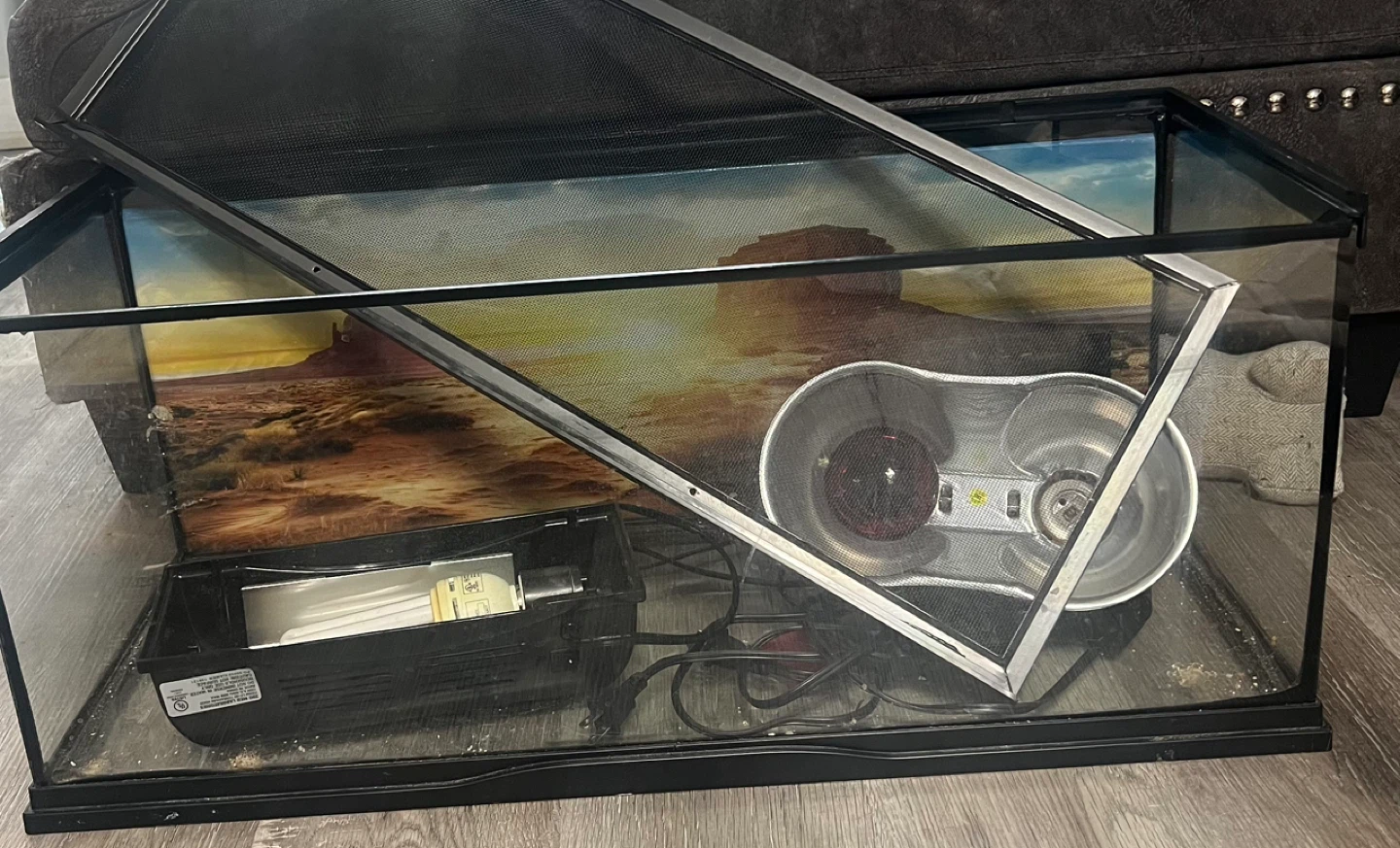 Terrarium with Heat Lamp and UVB Light