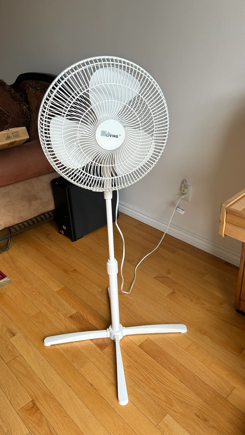 Living Basics Pedestal Fan
