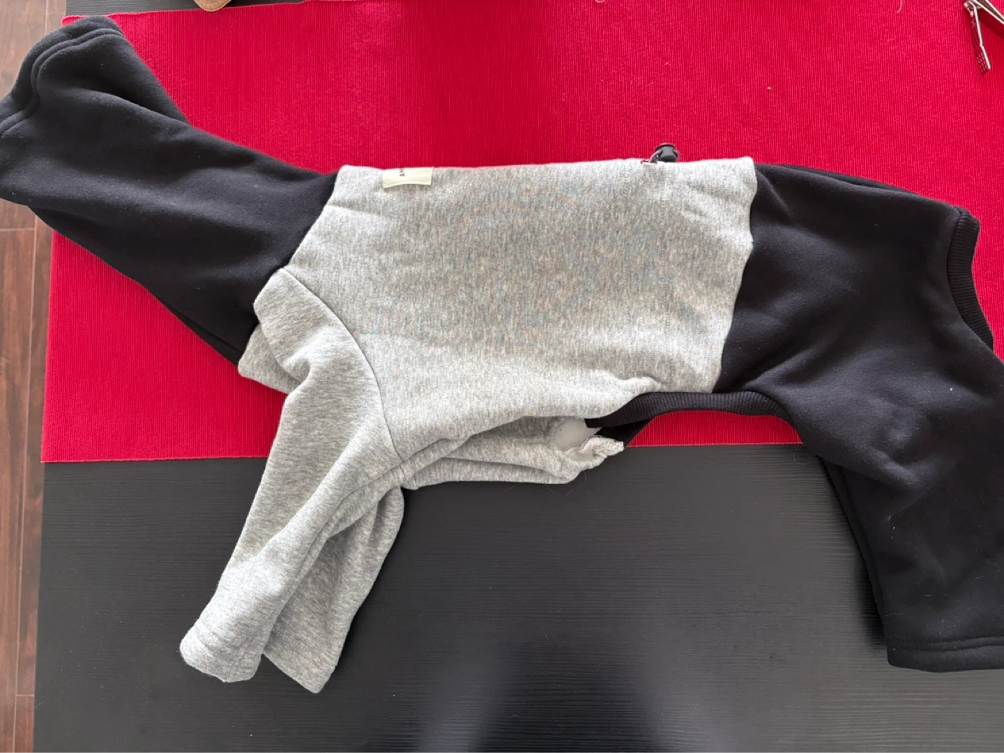 Dog clothes
