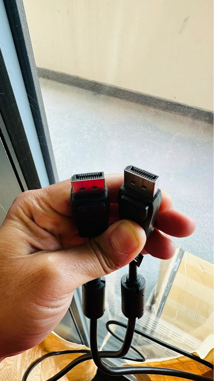 DisplayPort Cable