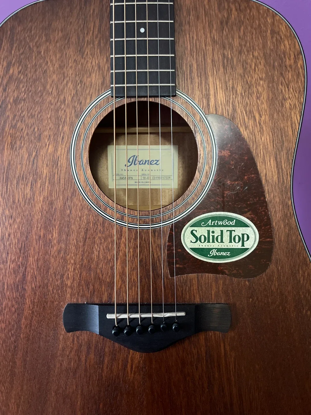 Ibanez Artwood Solid Top Acoustic Guitar - photo 2