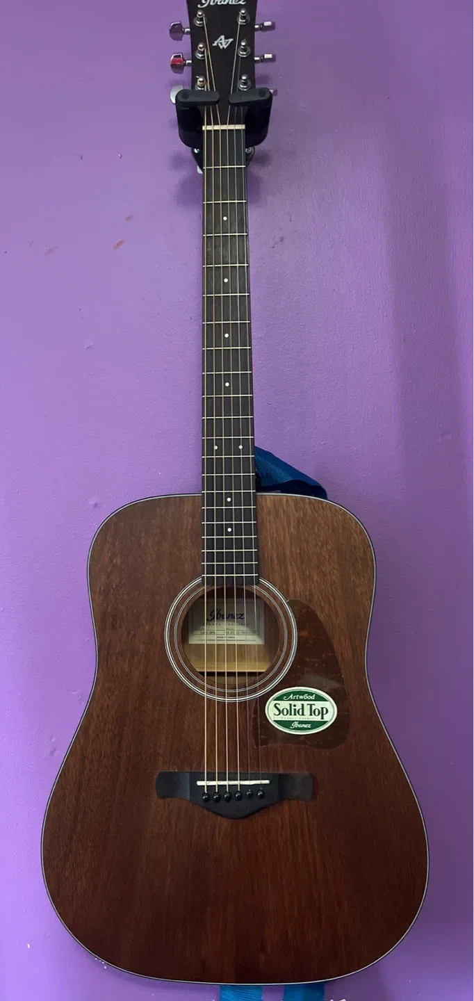 Ibanez Artwood Solid Top Acoustic Guitar