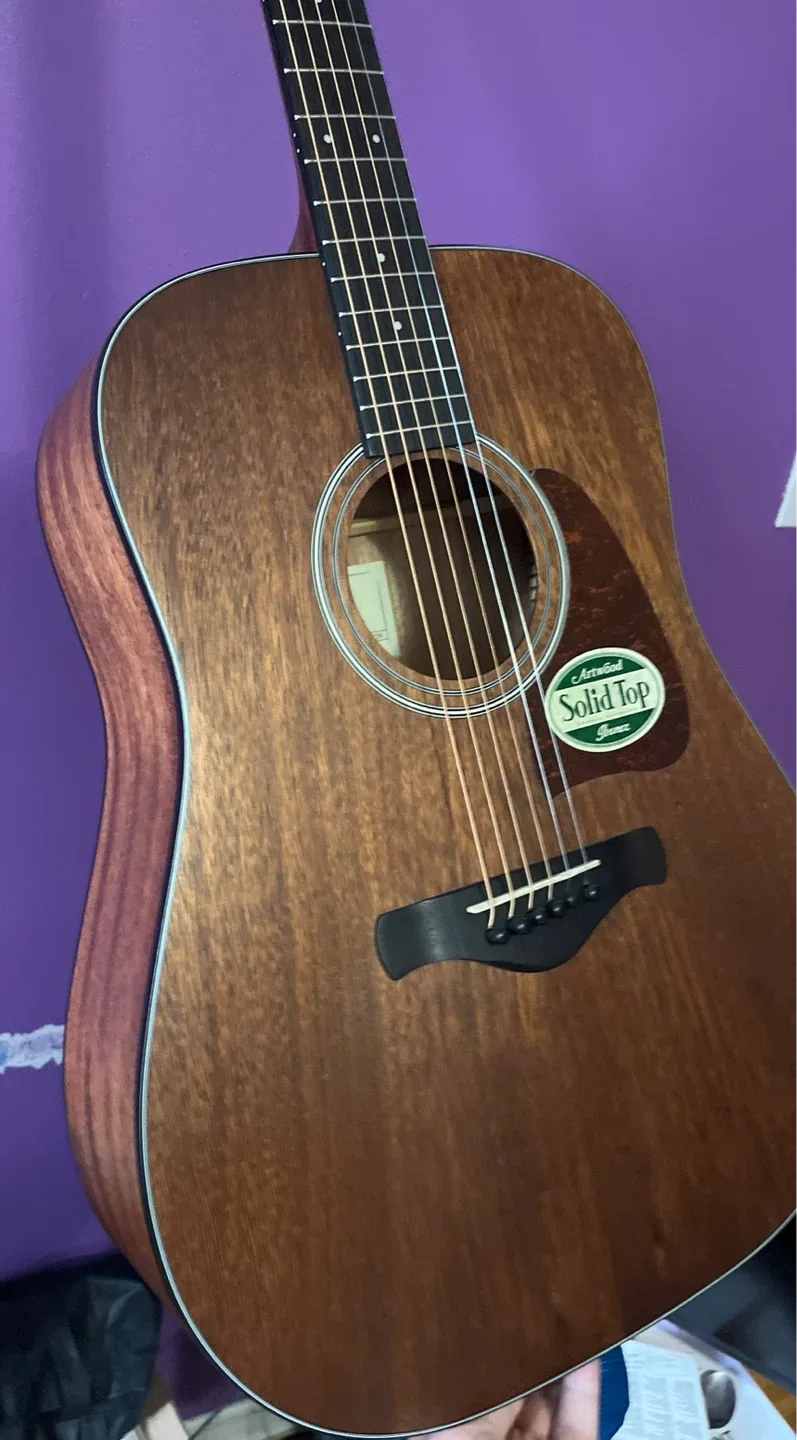 Ibanez Artwood Solid Top Acoustic Guitar - photo 4