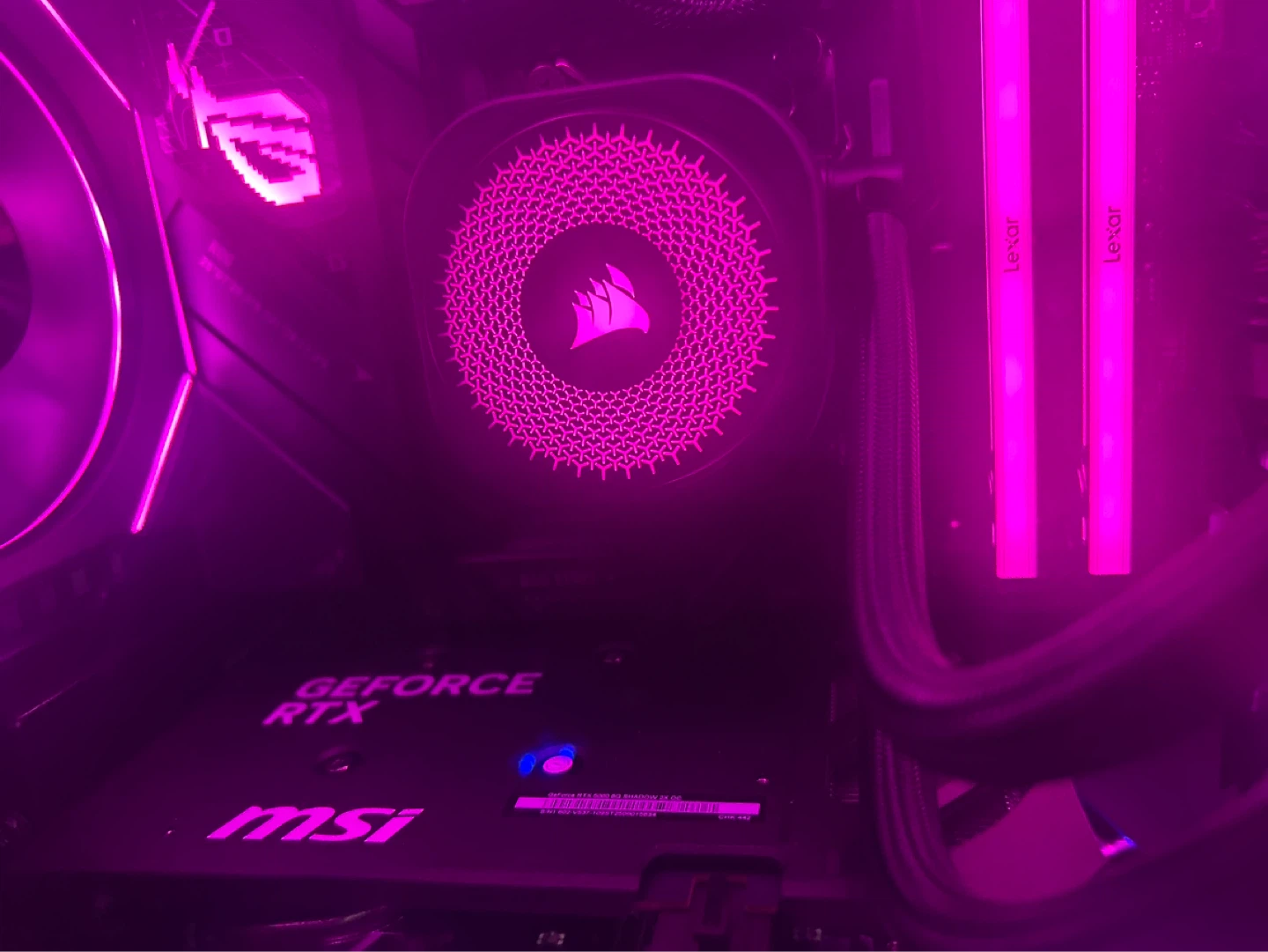 Custom PC Build with RGB Lighting