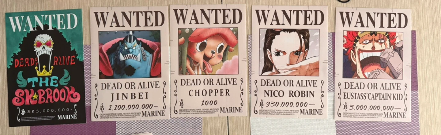 One Piece Wanted Posters Collection - photo 2