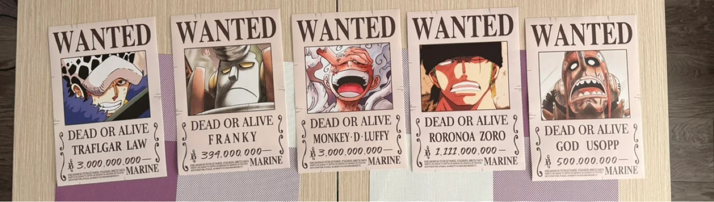 One Piece Wanted Posters Collection - photo 3
