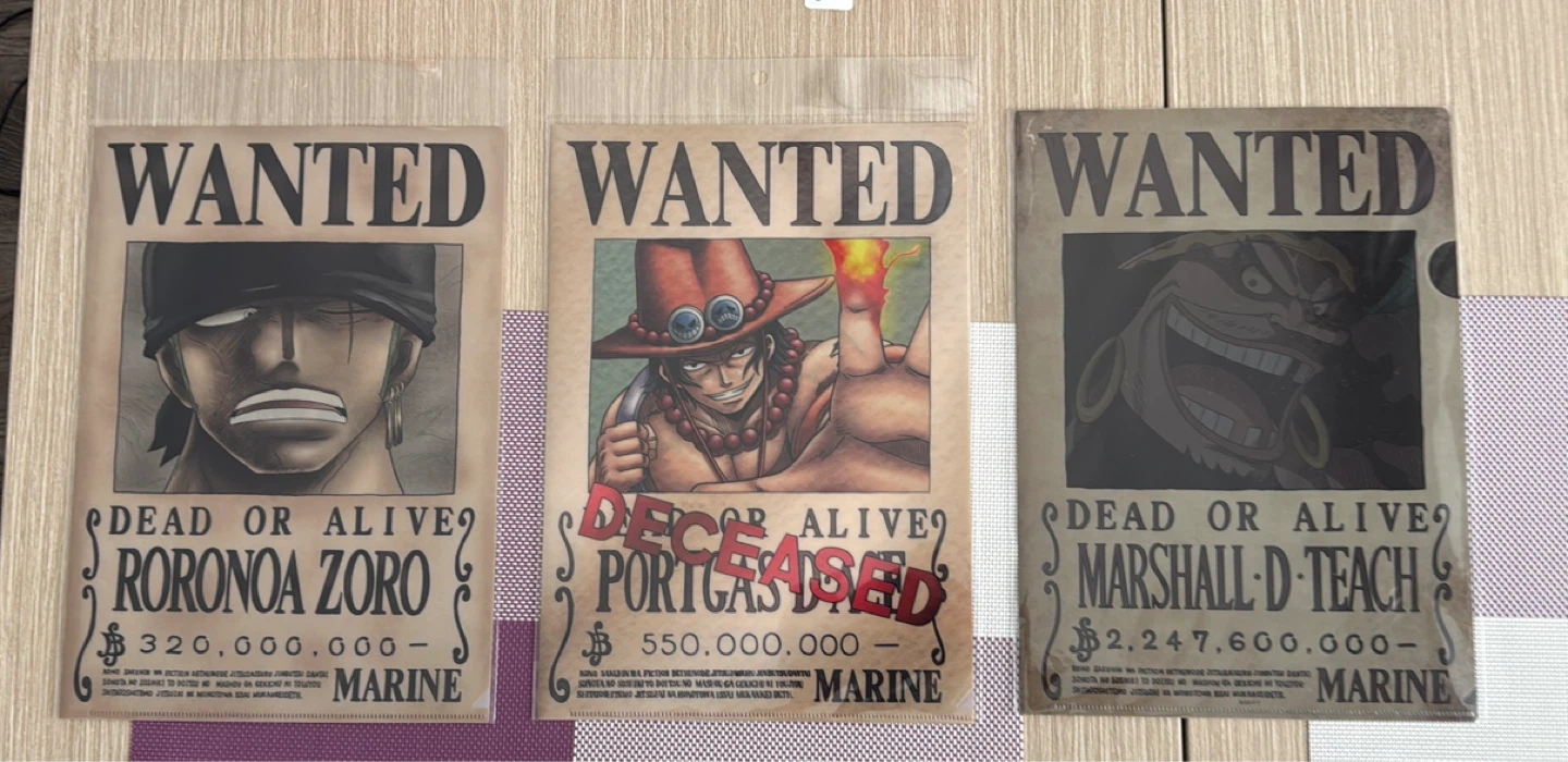 One Piece Wanted Posters Collection