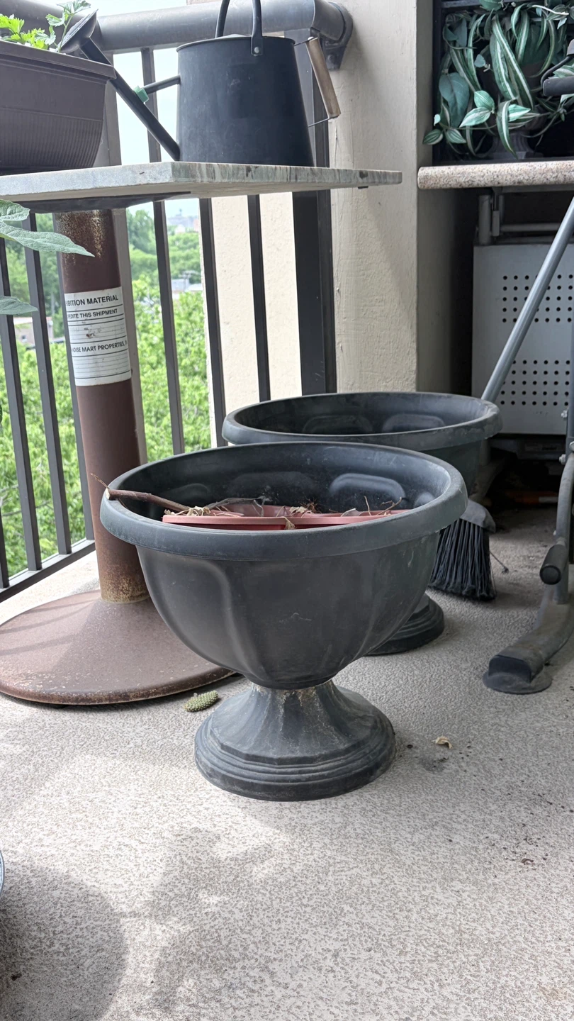 Set of 2 Black Urn Planters