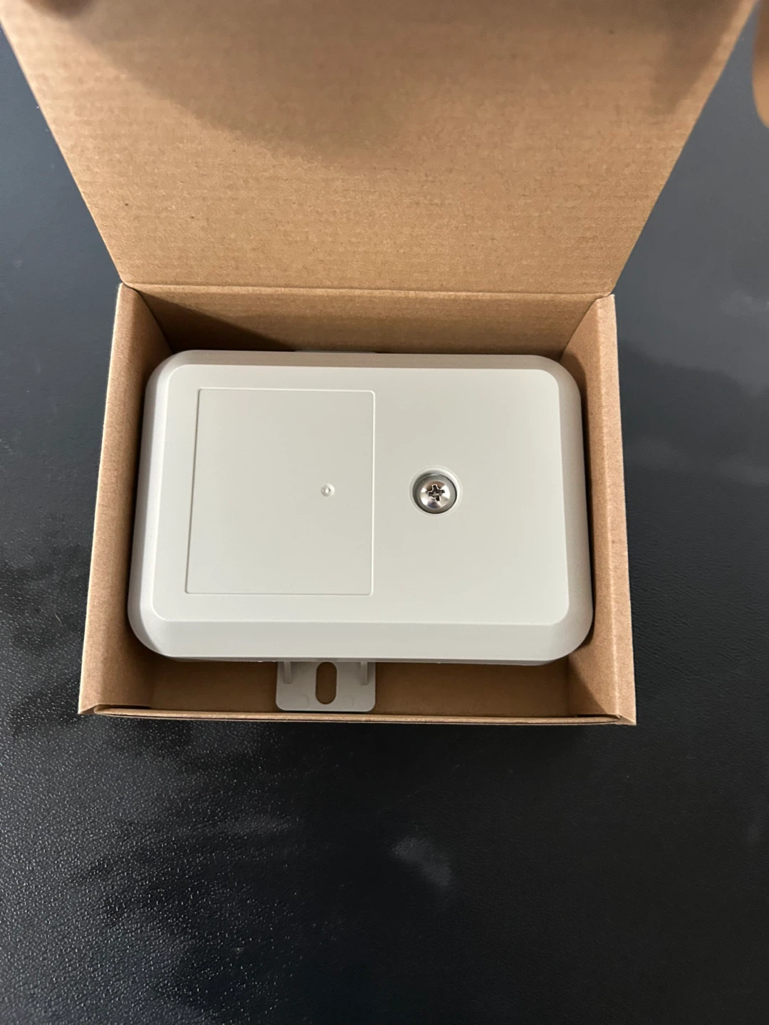 Perfect Vision Surge Protector