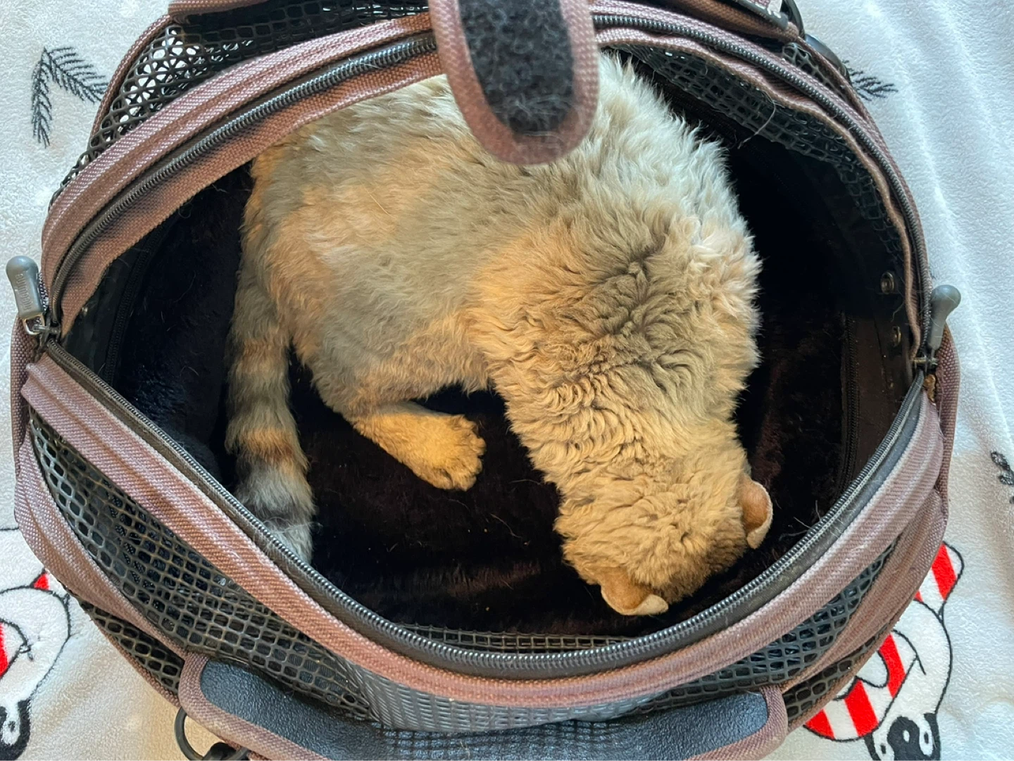 SleepyPod Mobile Pet Carrier Bed - photo 4