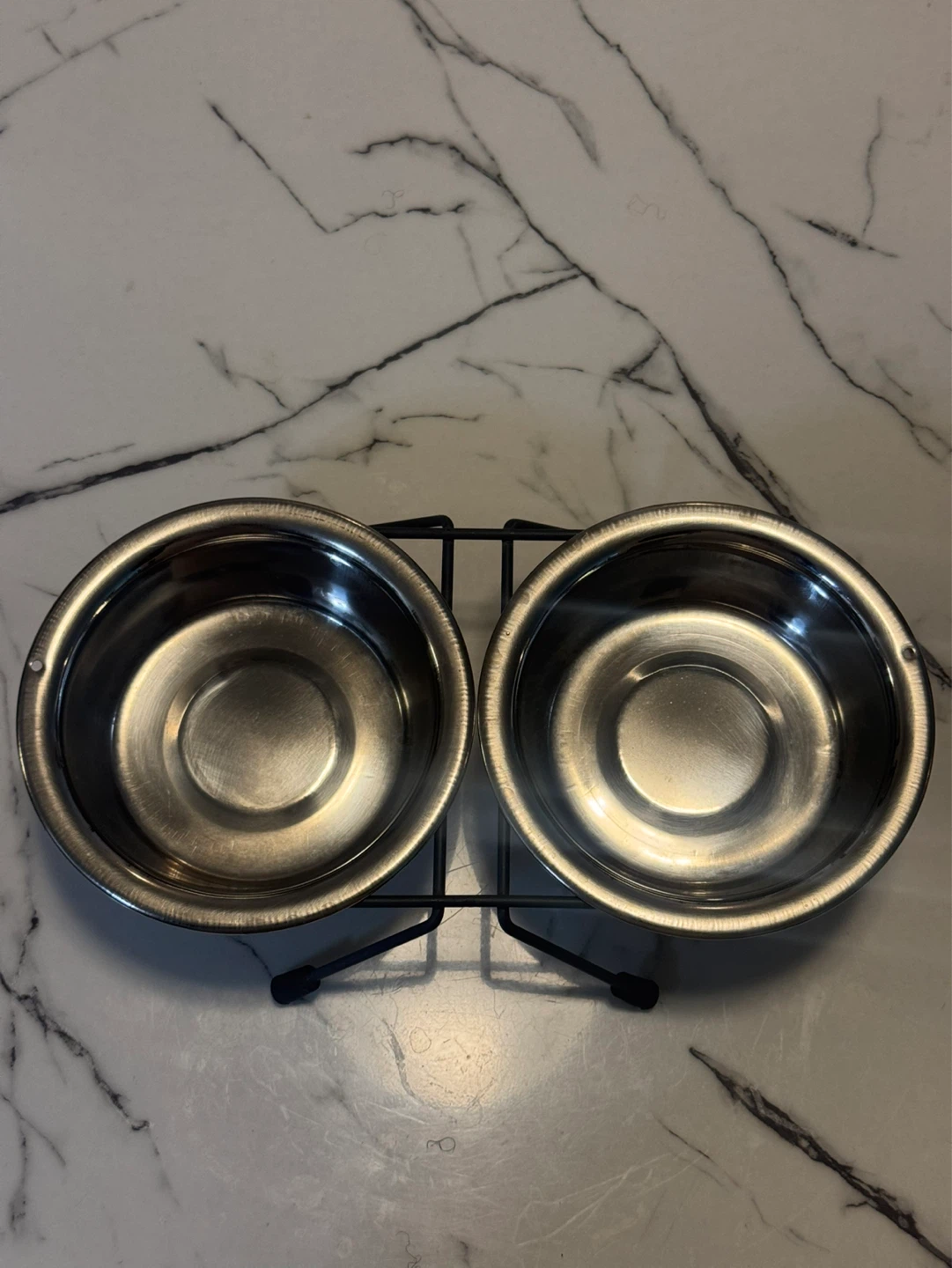 Stainless Steel Pet Bowls with Stand