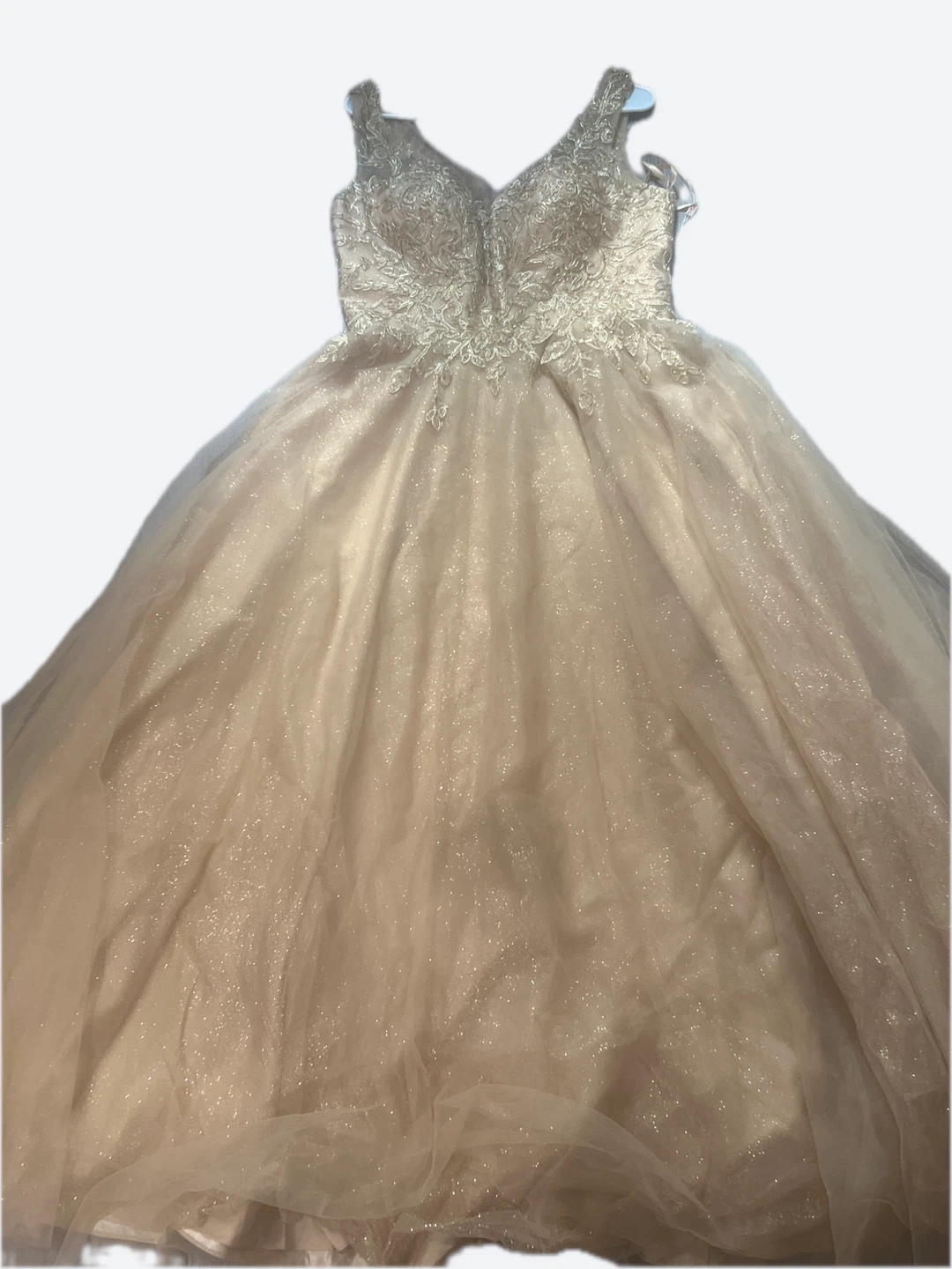 Sparkly Ball Gown