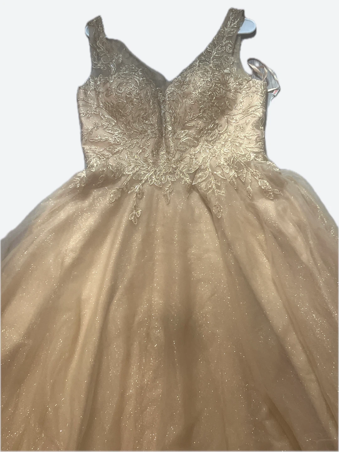 Sparkly Ball Gown - photo 2