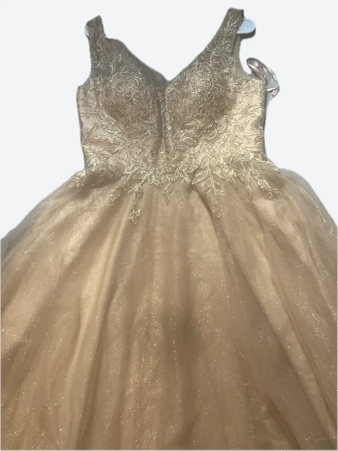 Sparkly Ball Gown - photo 2