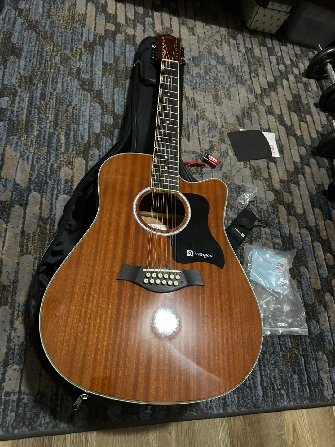 12-String Acoustic-Electric Guitar with Gig Bag