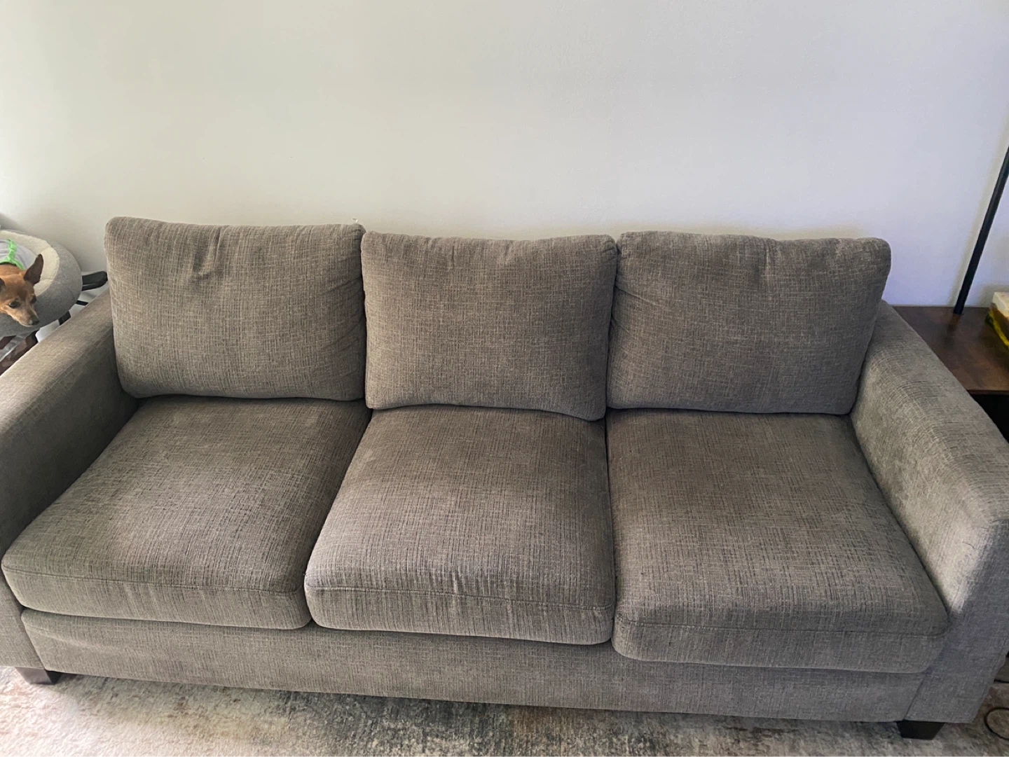 Grey Sofa Couch