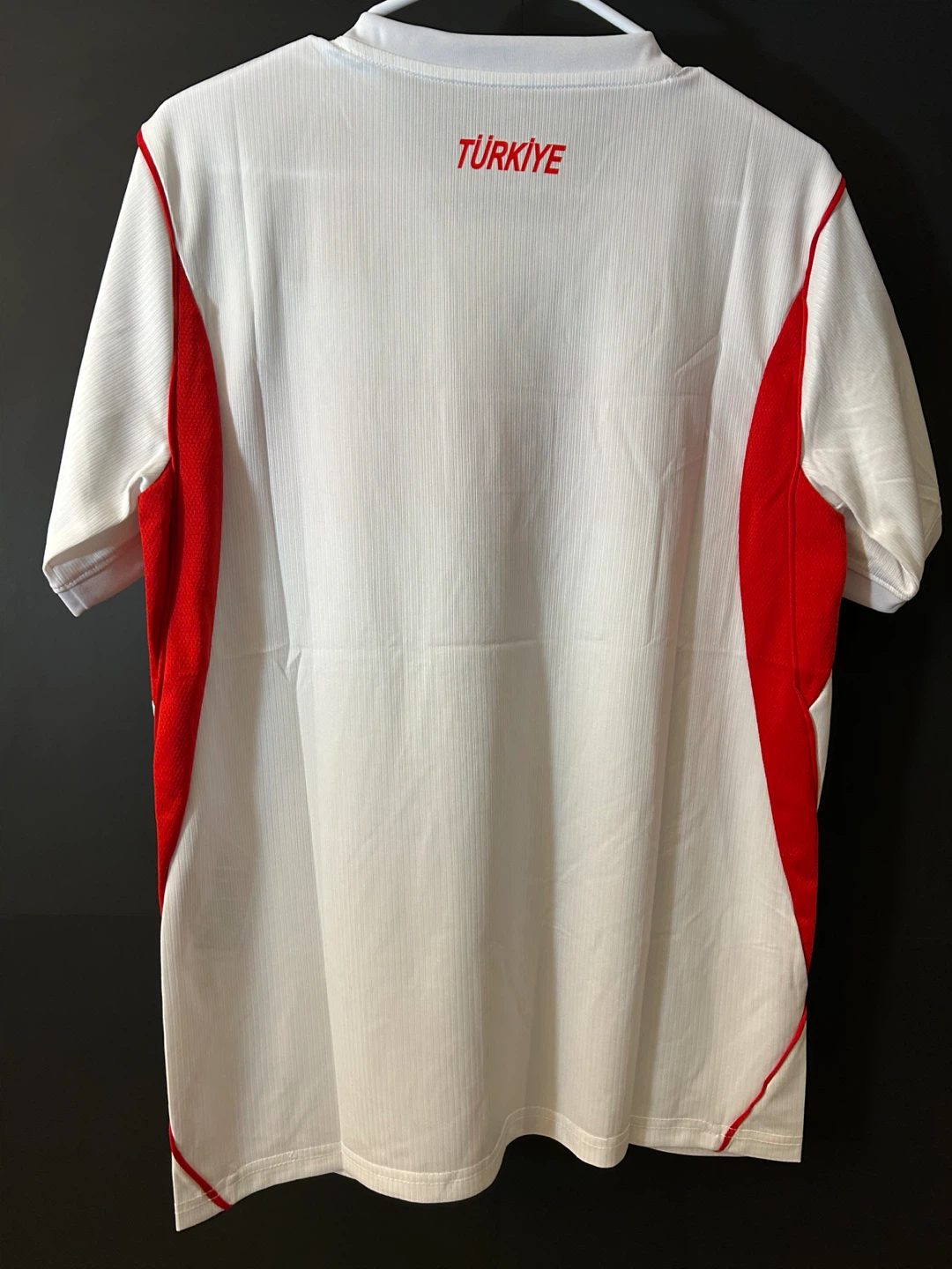 Türkiye 2026 World Cup - photo 5