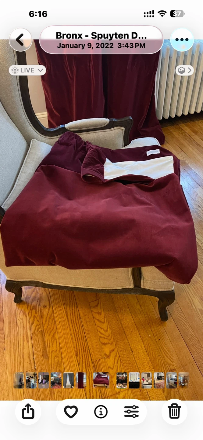 RH Velvet Curtains