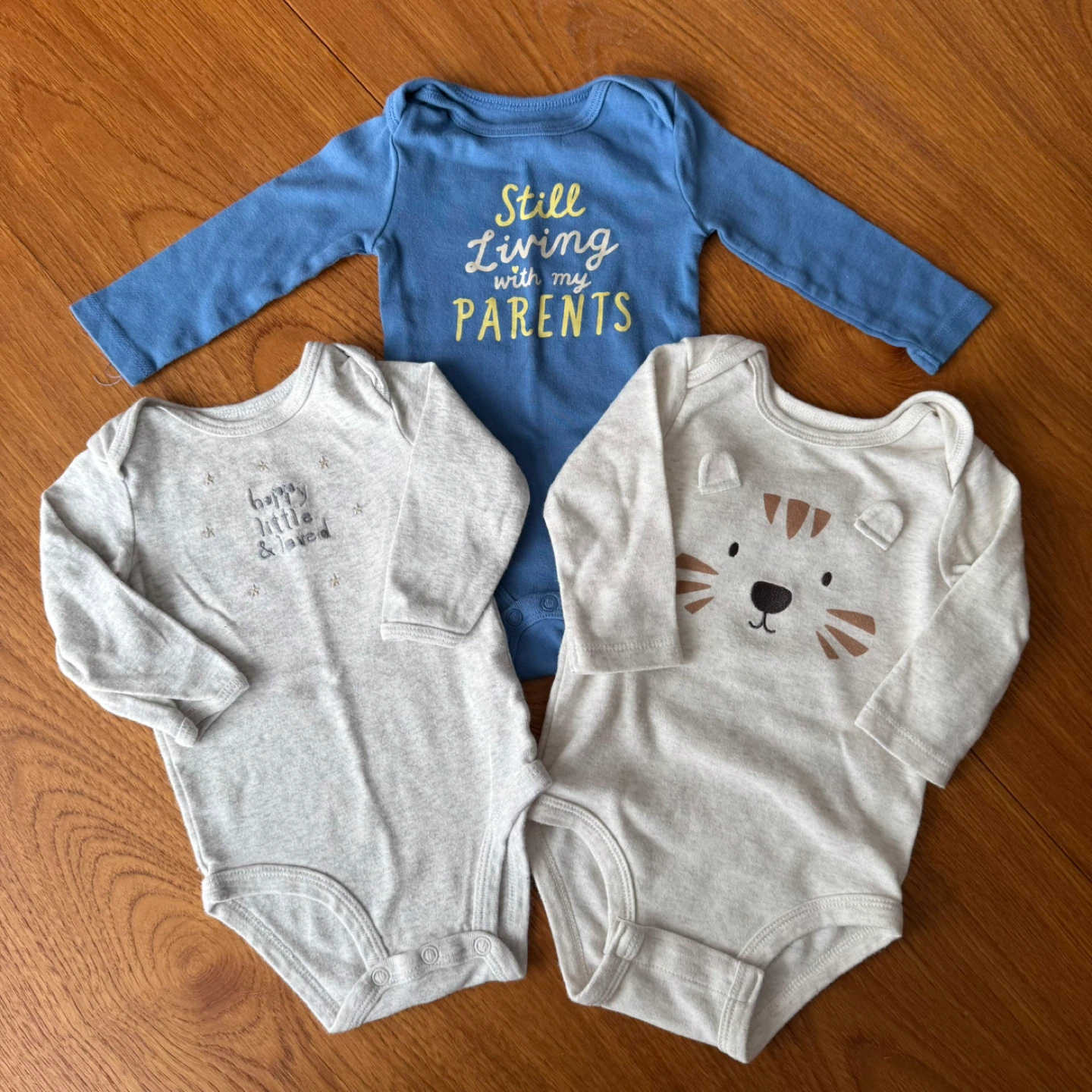 Bundle of 3 infant onesies (6 months)