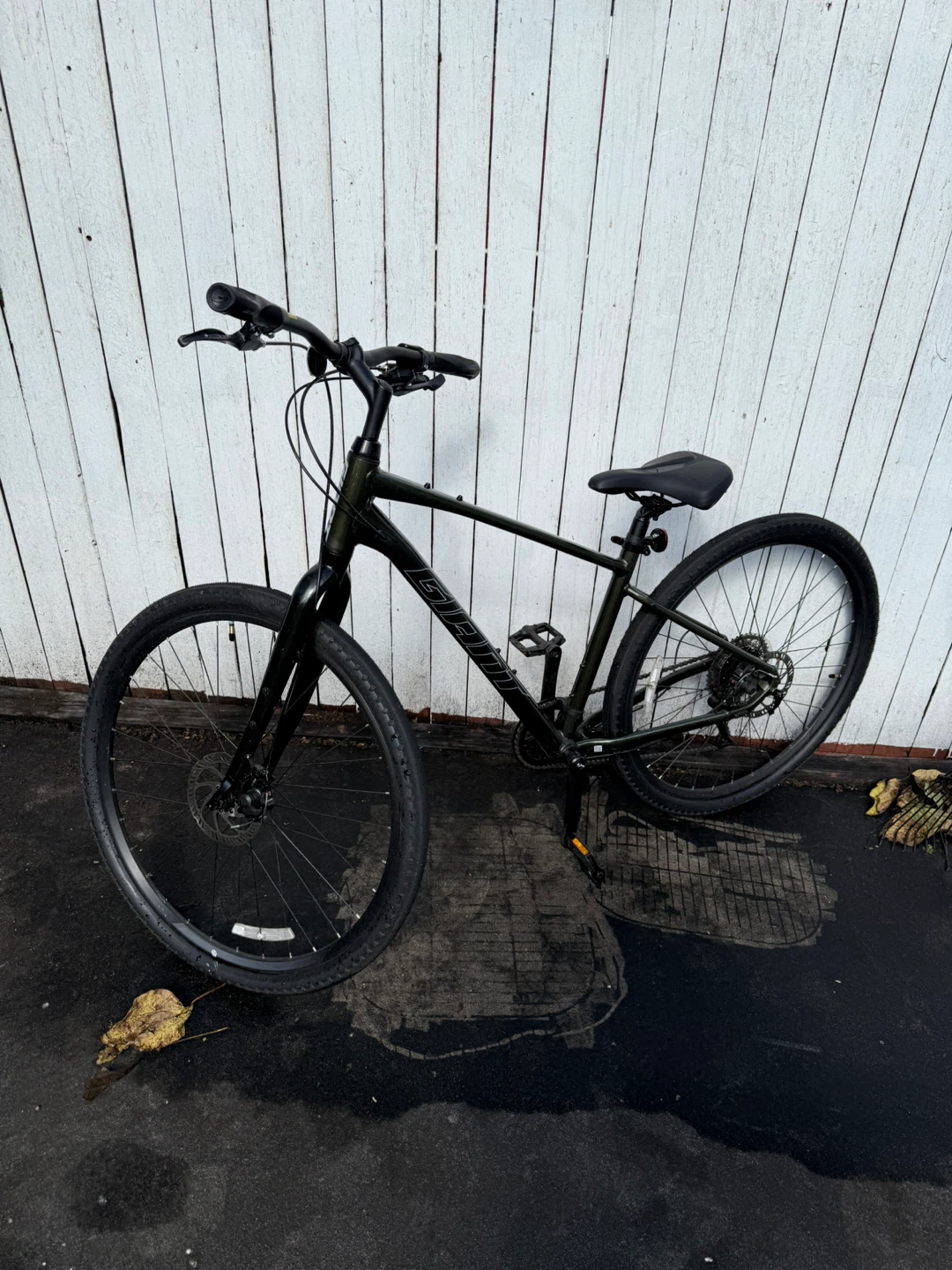 Giant Escape 2 bike
