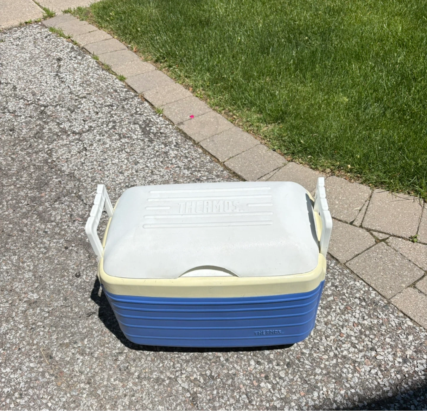 Thermos Cooler