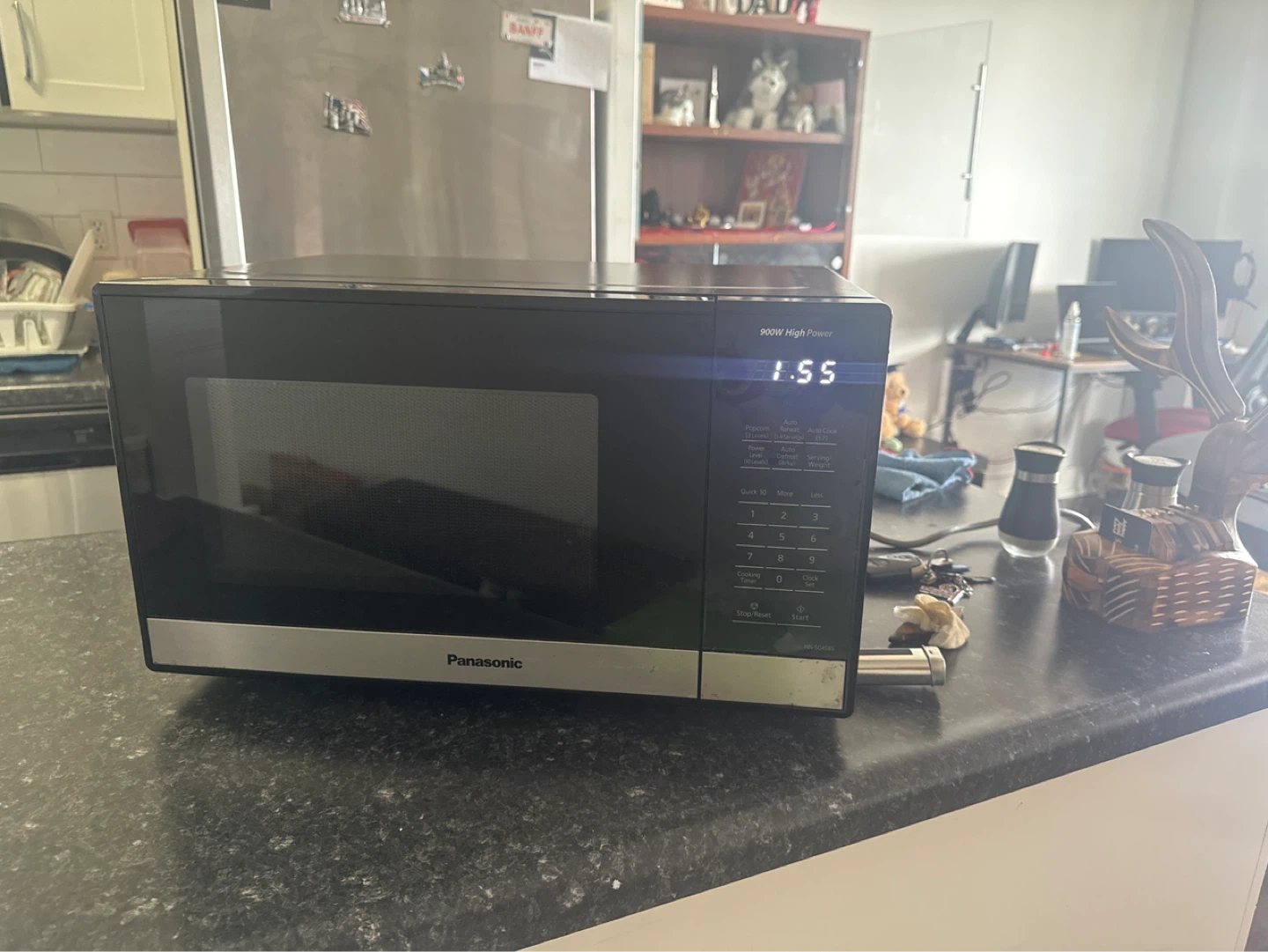 Panasonic Microwave 900W High Power - photo 3