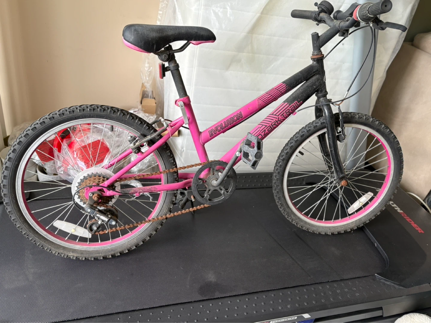Kids' Pink & Black Evolution Spark Trail Bicycle