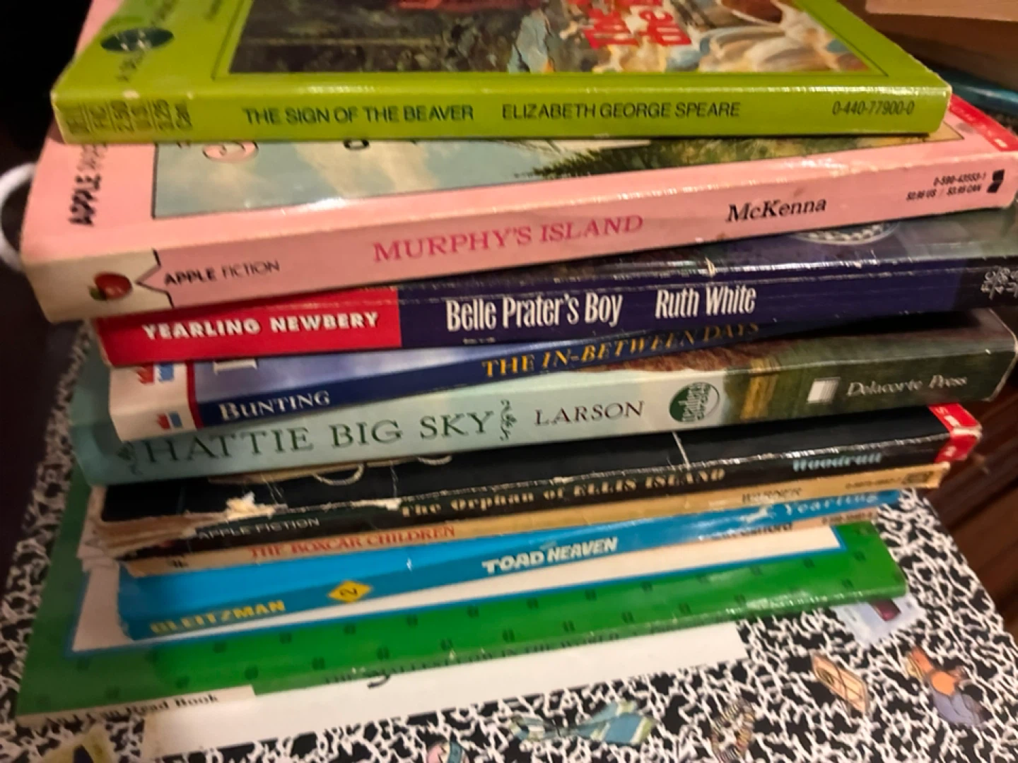 Box of over 50 chapter books - photo 3