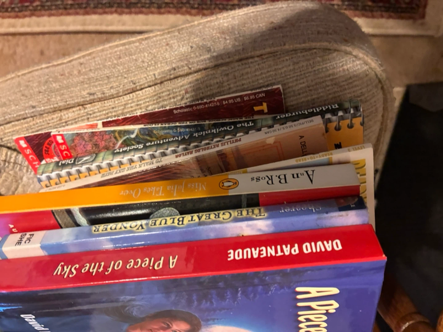 Box of over 50 chapter books - photo 2