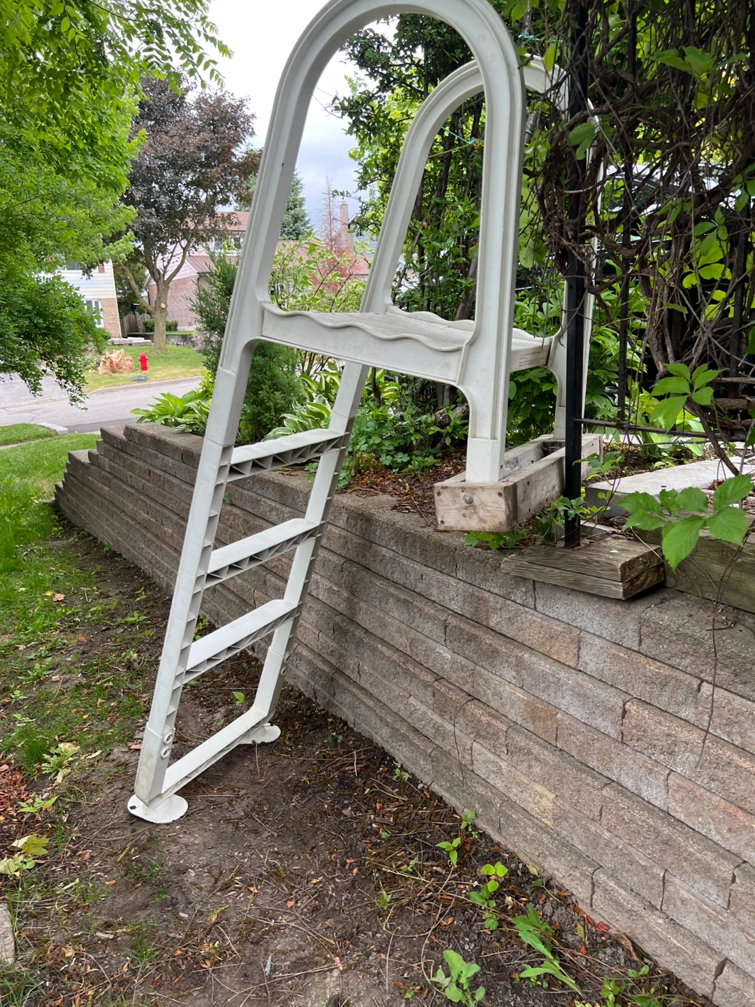 Pool or dock ladder for cottage