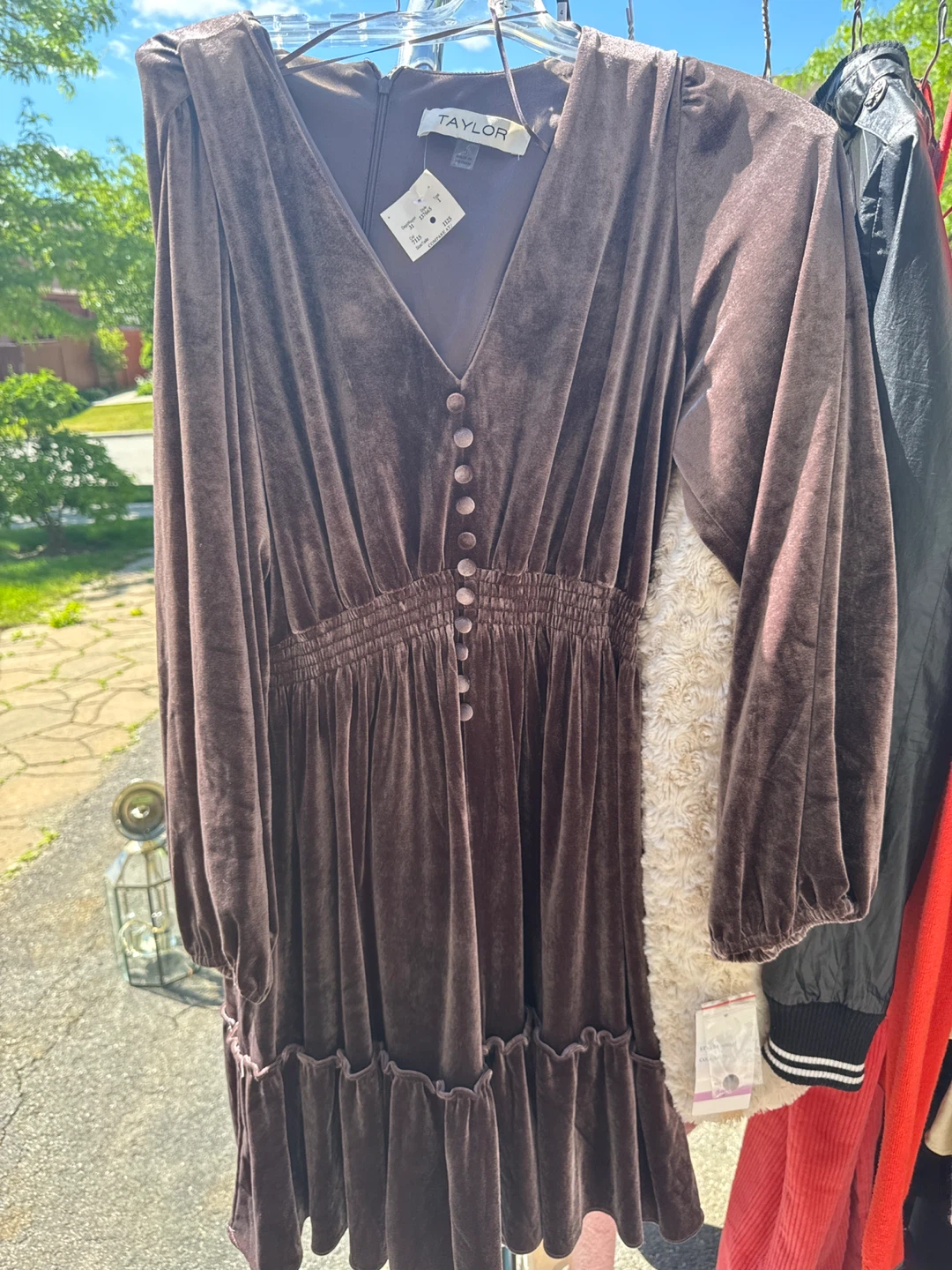 TAYLOR Velvet Dress - Taupe - Size 6