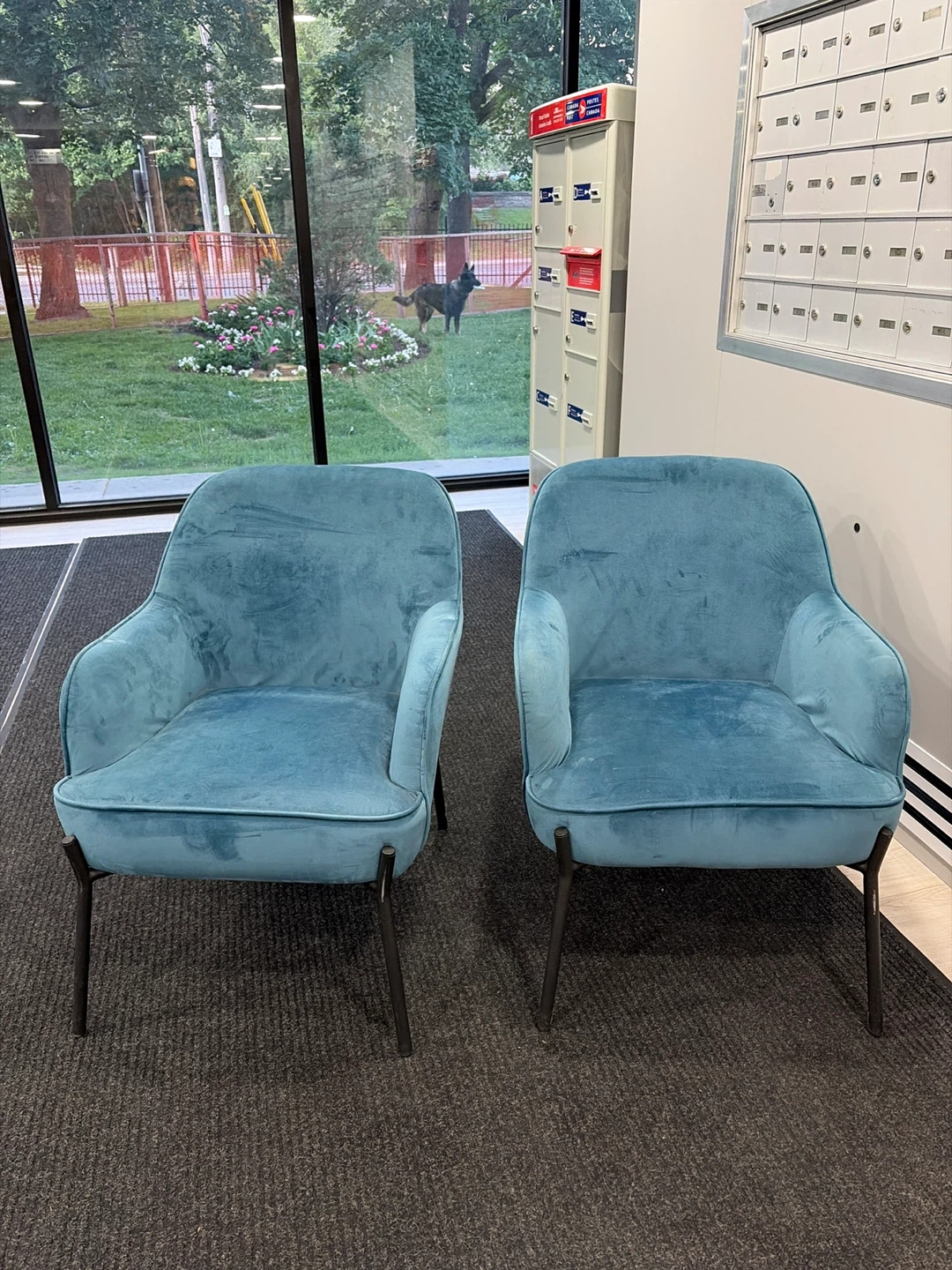 Teal Velvet Accent Chairs (Set of 2)