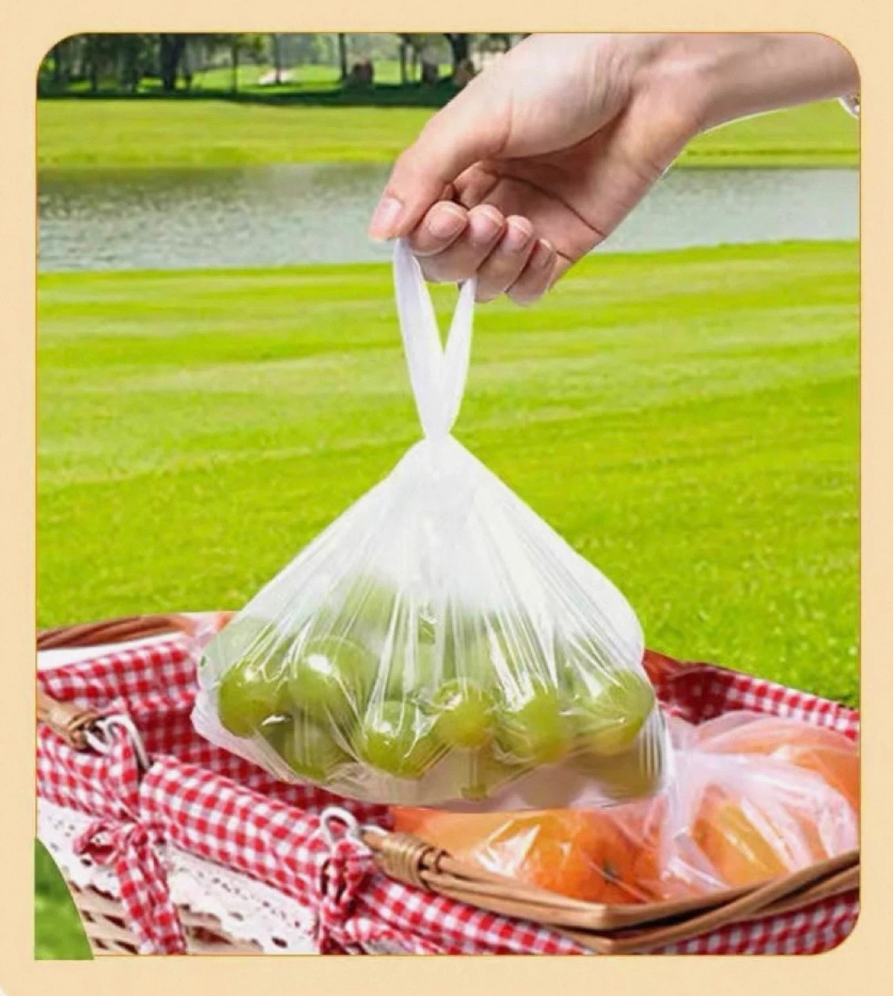 Vest-Style Food Storage Bags with Handles (Medium / Large)