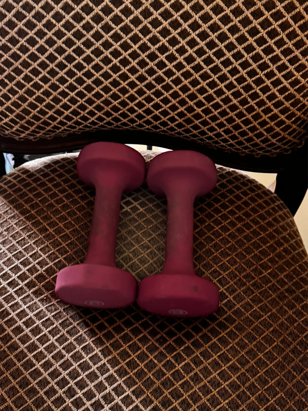 Pair of Dumbbells - 1kg & 8lb - photo 3