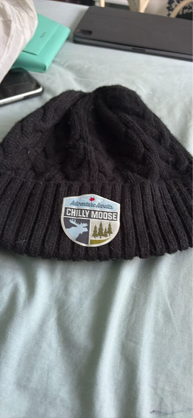 Chilly moose beanie