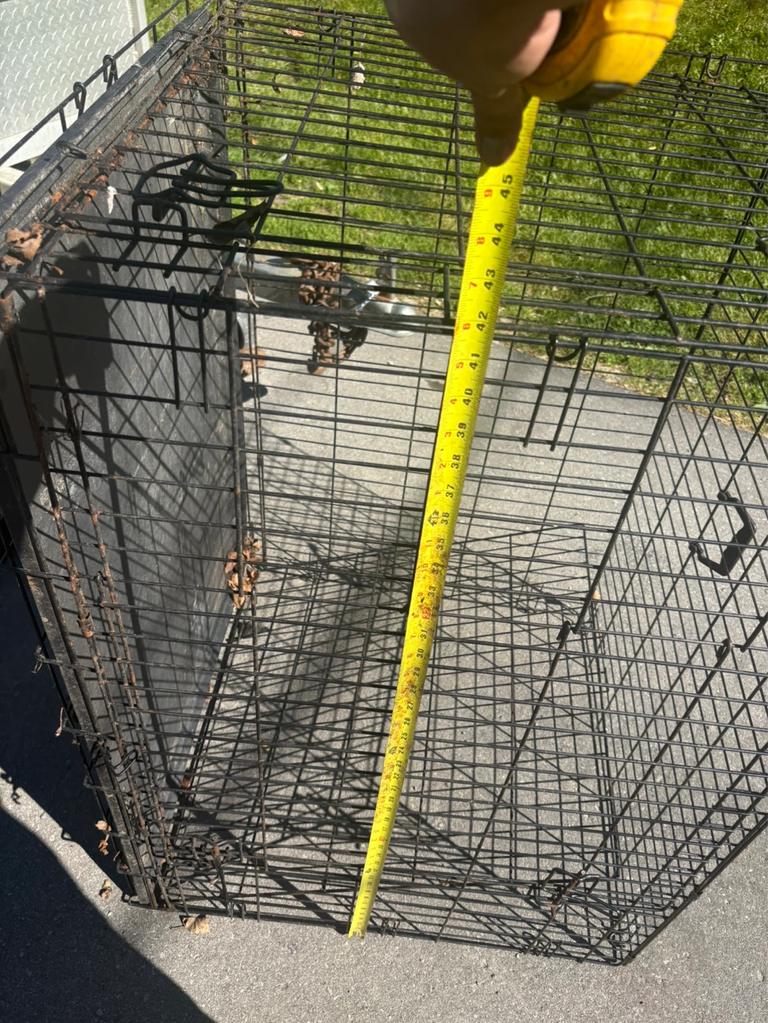 Wire Dog Crate - photo 2