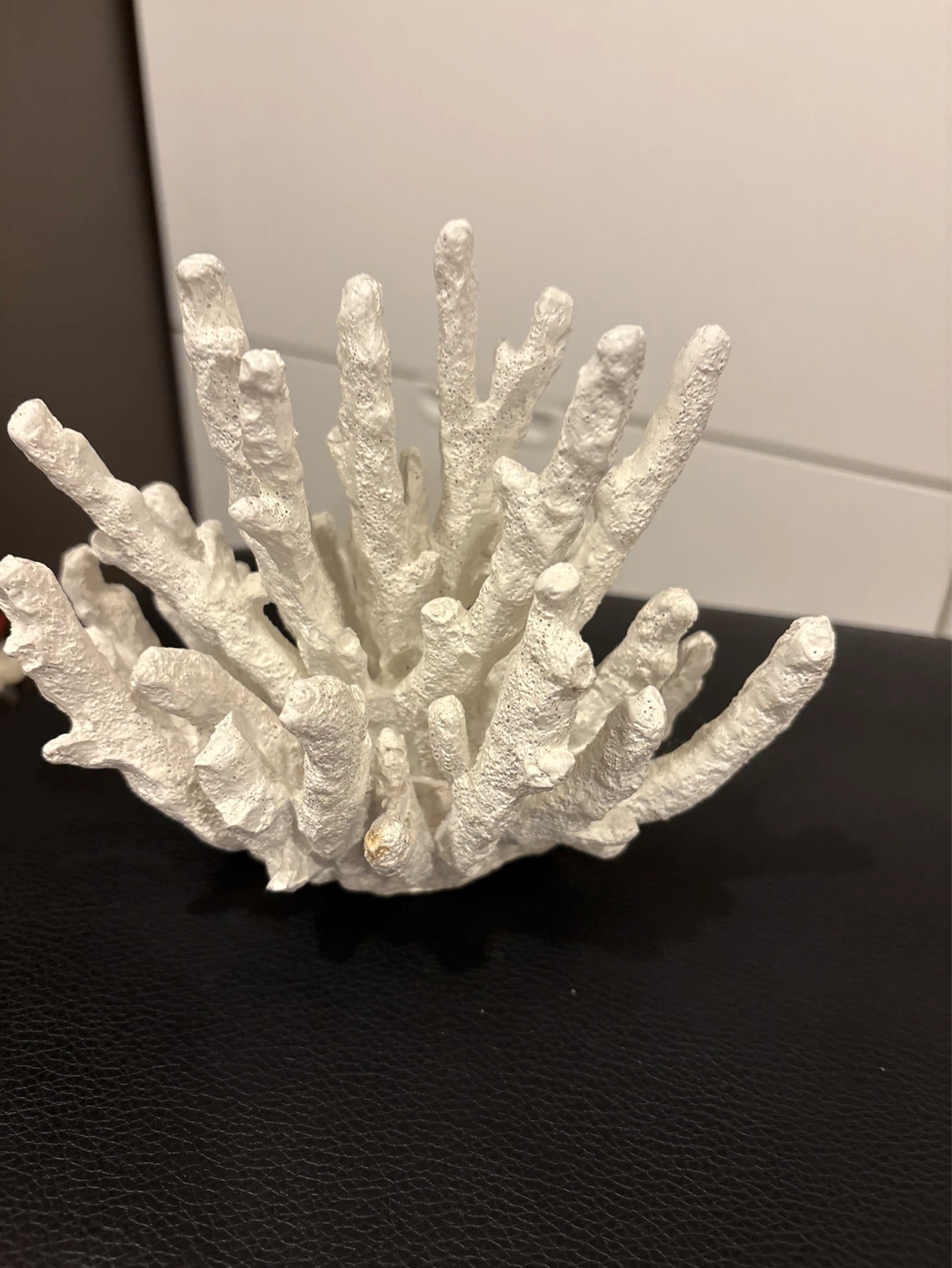 White coral decoration