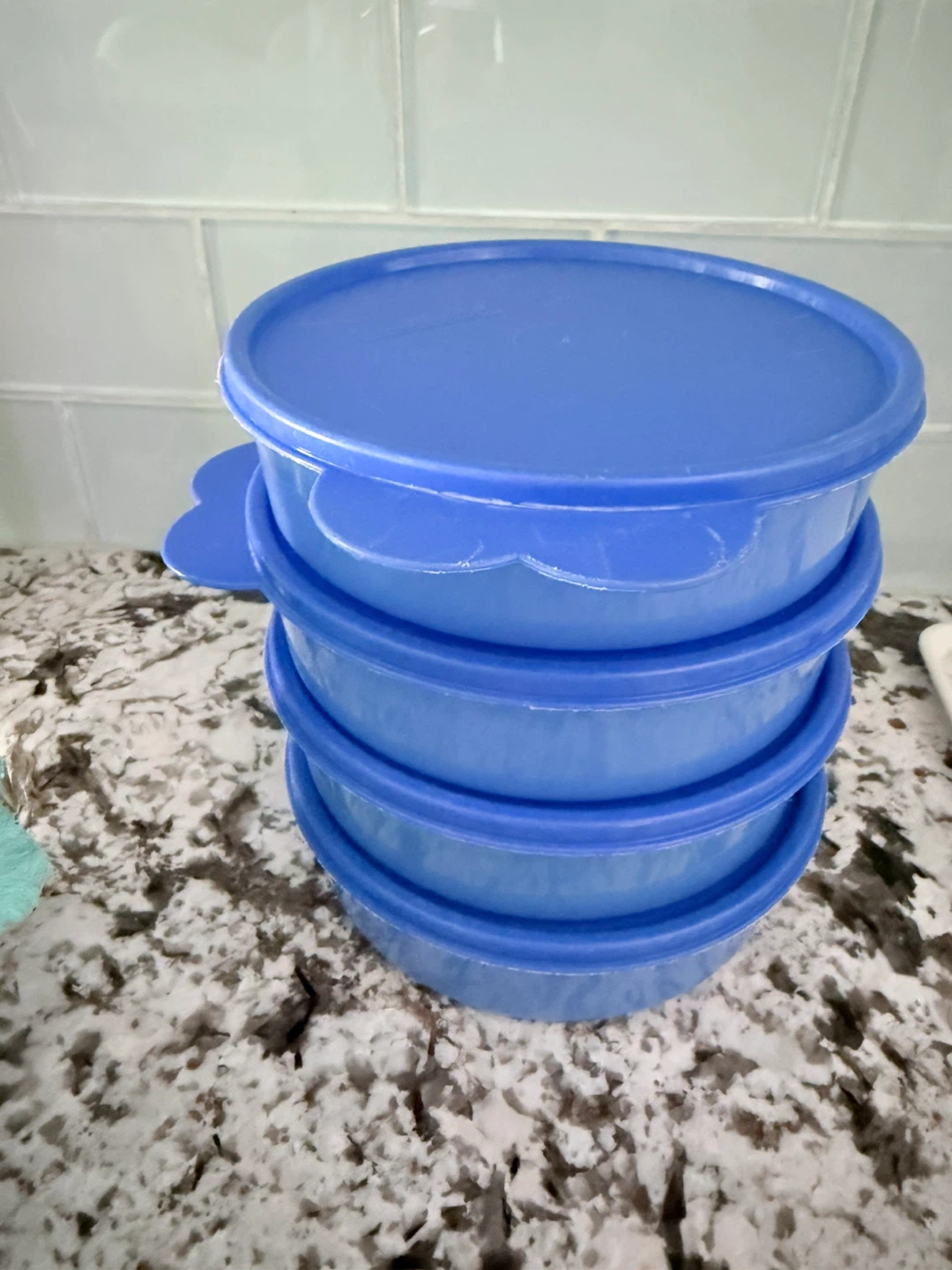 Tupperware Containers with Lids