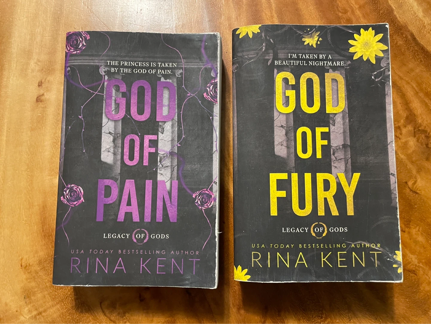 God of Pain & God of Fury by Rina Kent Books