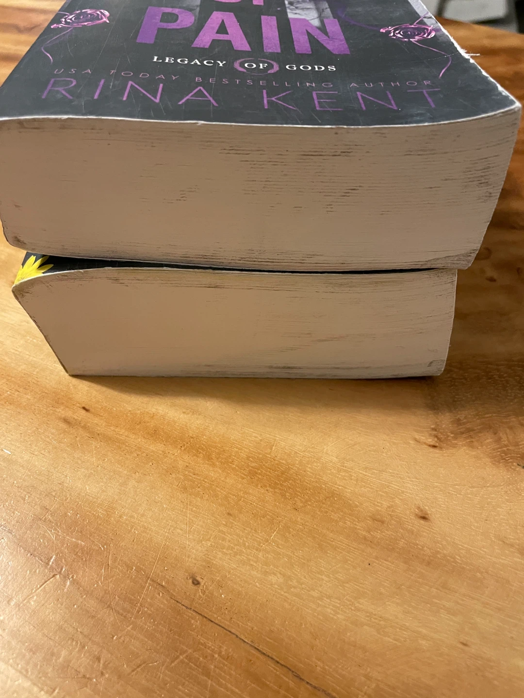 God of Pain & God of Fury by Rina Kent Books - photo 2