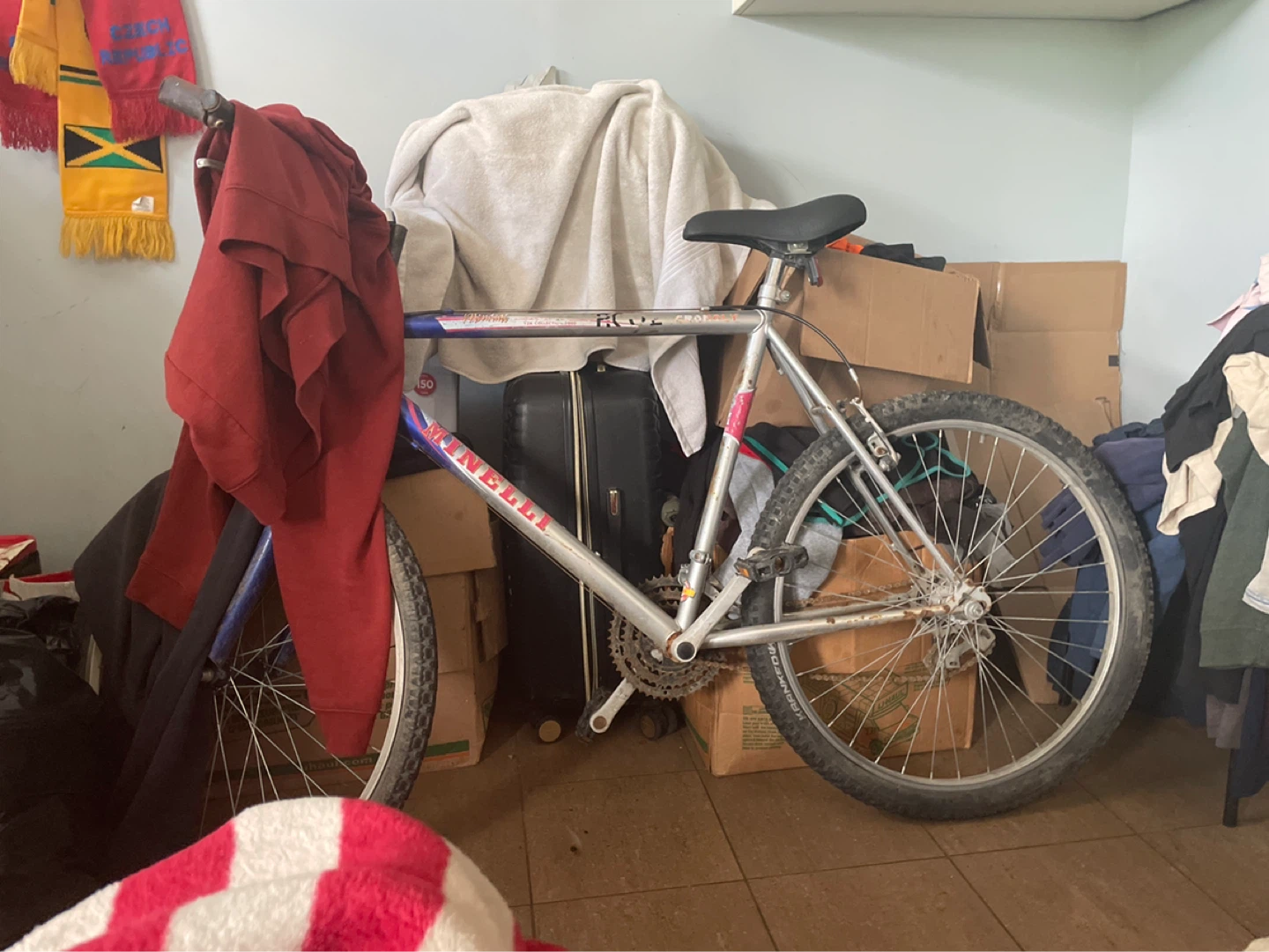 Vintage Minelli Mountain Bike