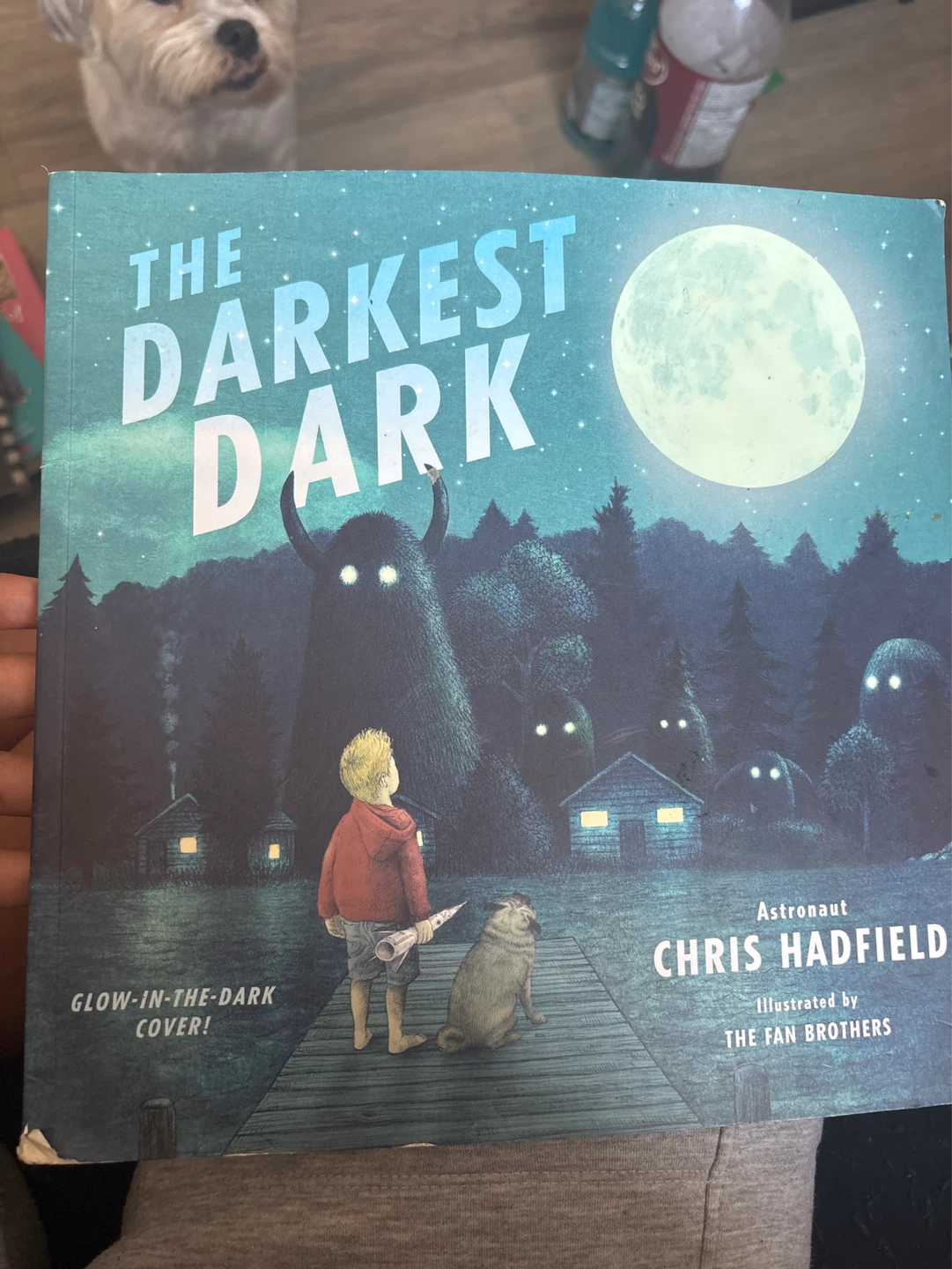 The Darkest Dark Children's Book by Chris Hadfield