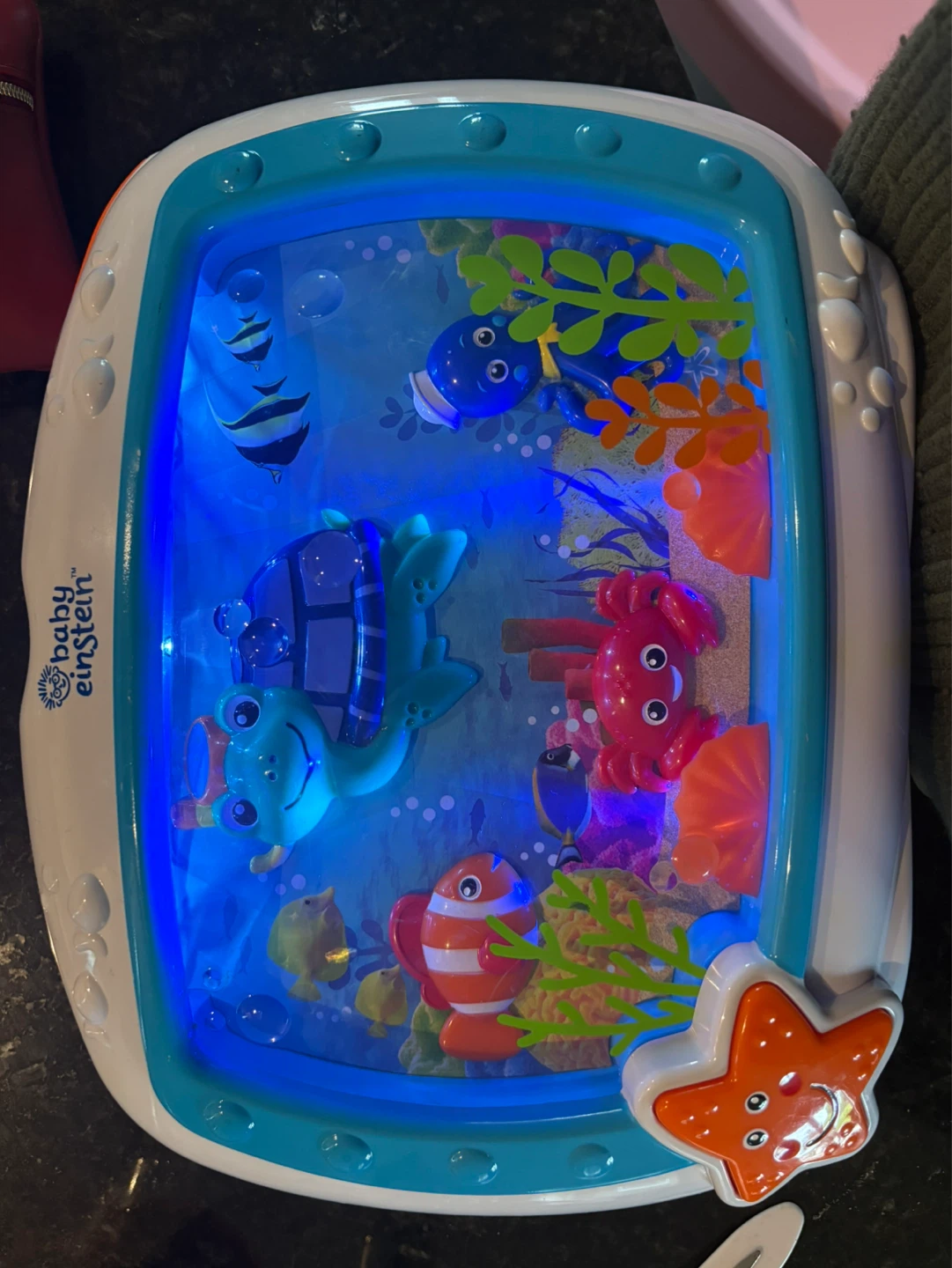 Baby Einstein  Aquarium Toy
