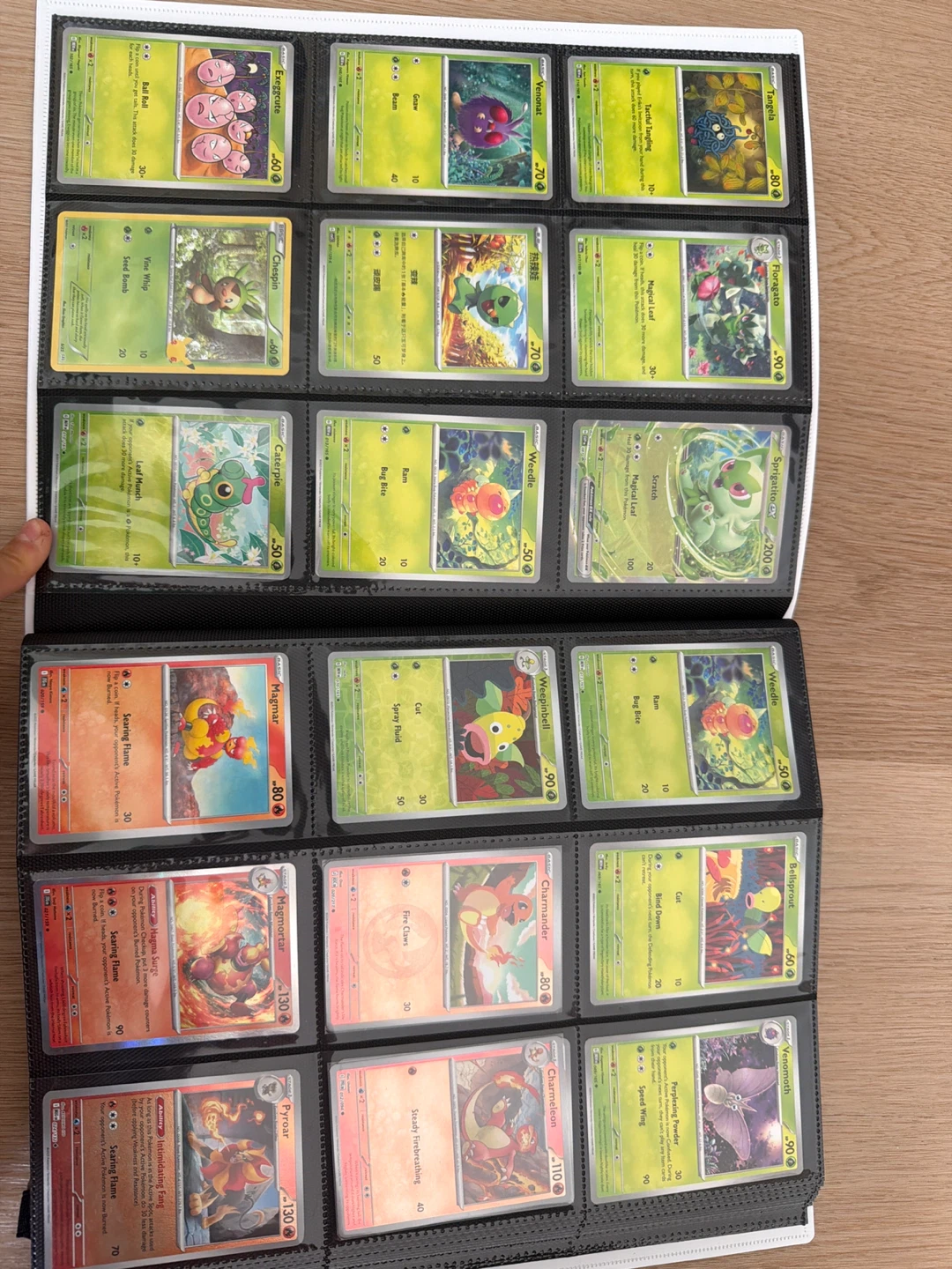 Pokémon Trading Card Binder Collection