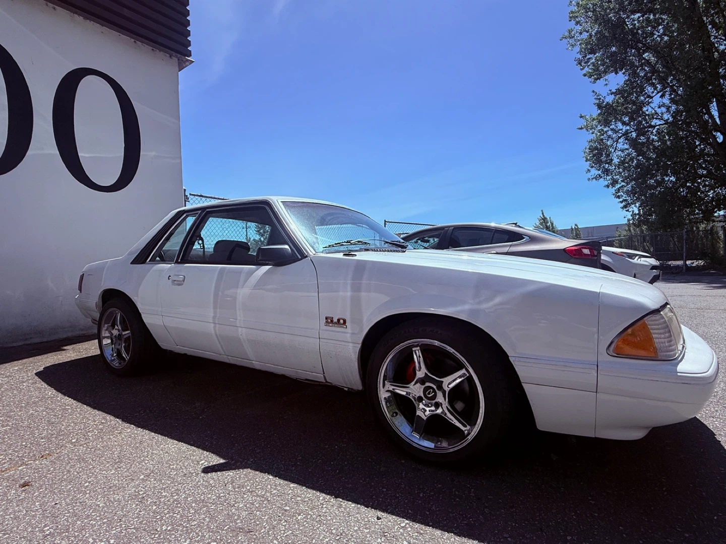 1985 White Ford Mustang 5.0 notch - photo 4
