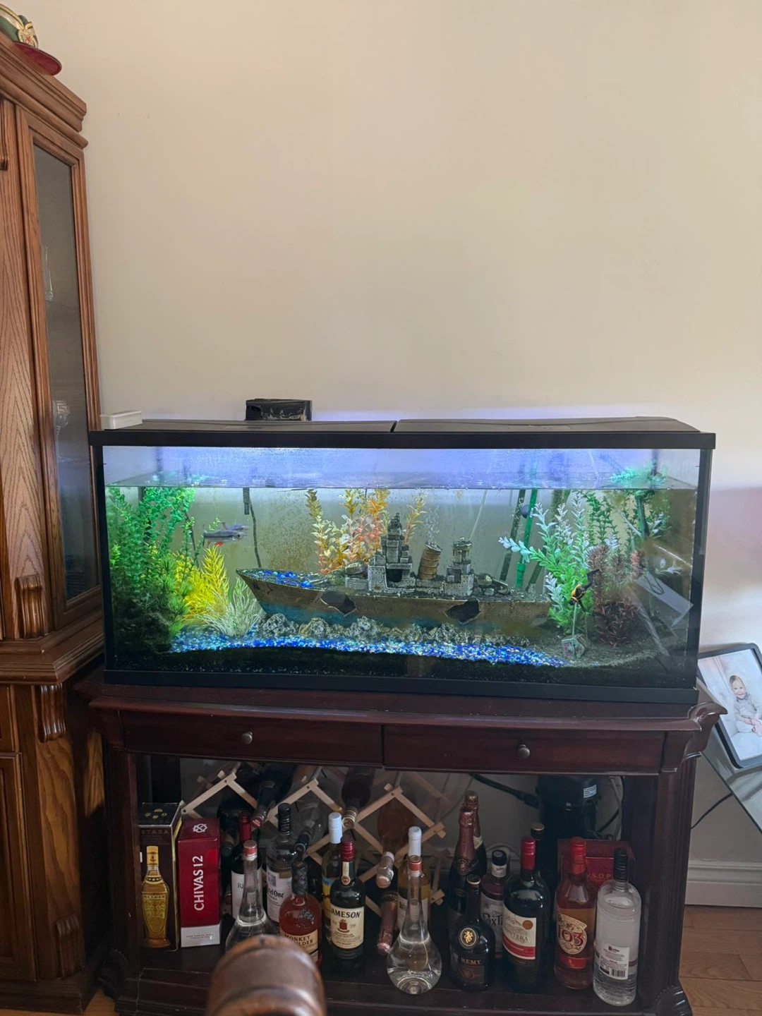 Aquarium with Shipwreck Decor and Fish - photo 2