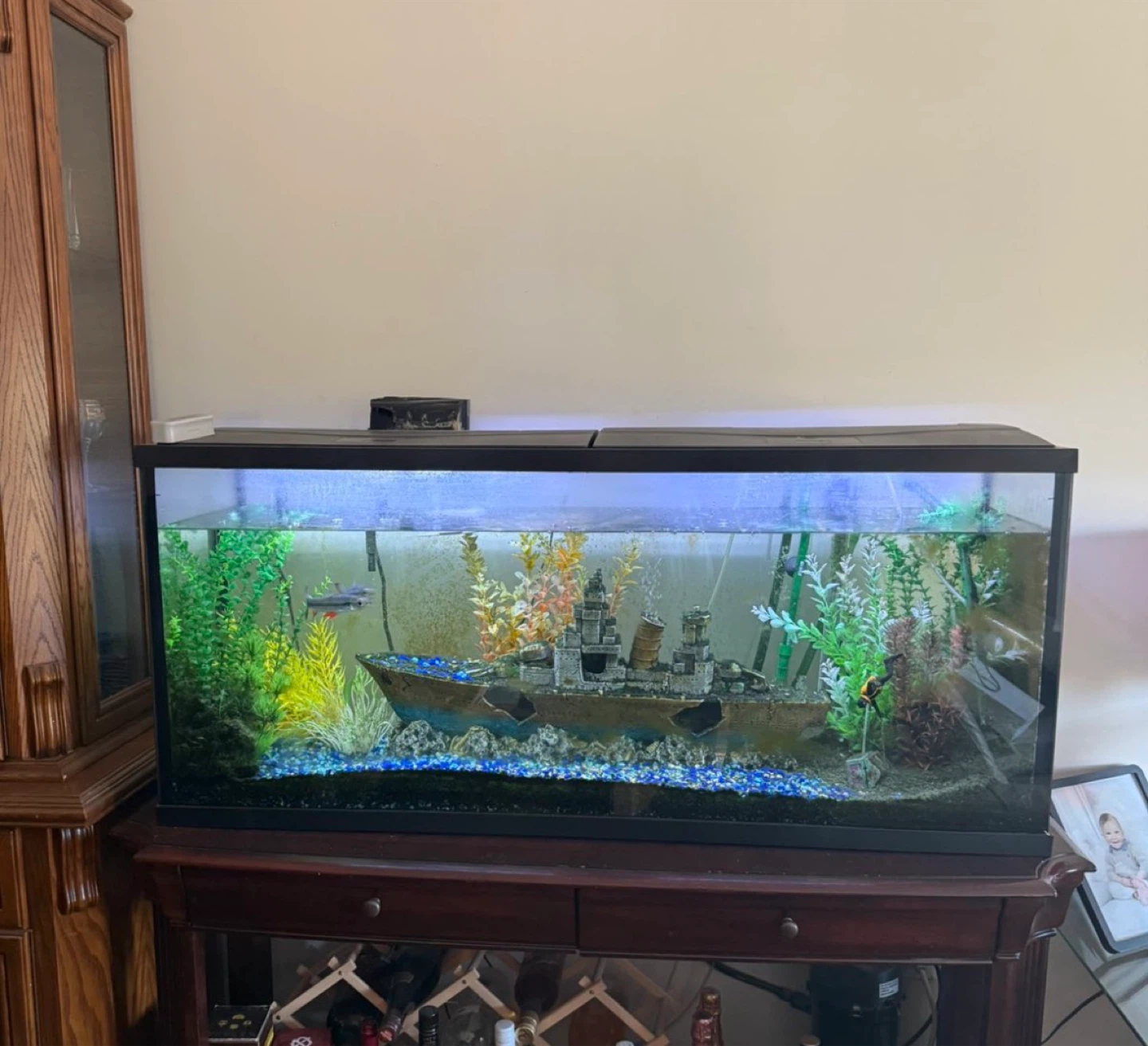 Aquarium with Shipwreck Decor and Fish