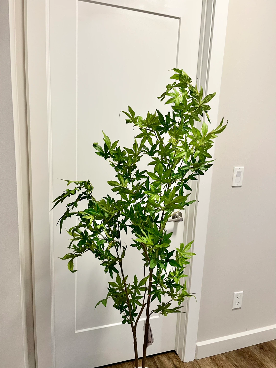 Artificial Maple Tree Plant in White Pot - photo 2